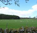 Dag 5, Fort William-Stirling (191)